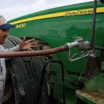 SE DAU BANII: În judeţul Maramureş au fost autorizaţi un număr de 237 fermieri