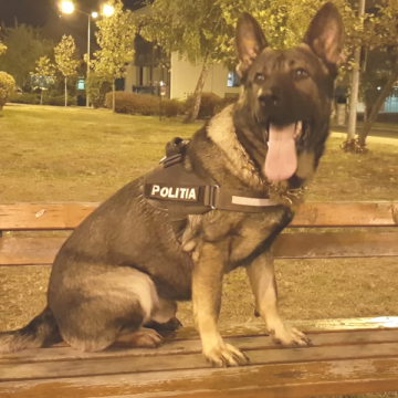 Câinele polițist Vis a dibuit din nou țigări de contrabandă