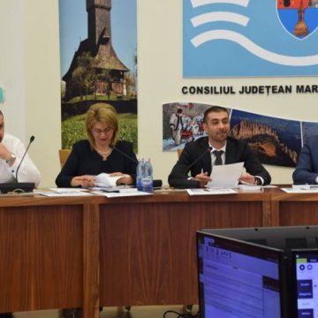 ȘEDINȚĂ: Consiliul Județean , partener în proiectul Summitul Tinerilor, ediția a III-a