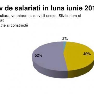 ÎNCURAJATOR: A crescut numărul salariaților în județ ÎNCURAJATOR: A crescut numărul salariaților în județ