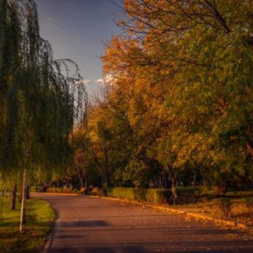Cum stăm cu vremea astăzi în Maramureș Cum stăm cu vremea astăzi în Maramureș