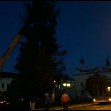 Pomul de Crăciun a ajuns în Sighet Pomul de Crăciun a ajuns în Sighet