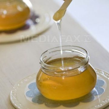 S-A VOTAT: Deputaţii au adoptat legea privind acordarea de miere de albine ca supliment nutritiv pentru elevi