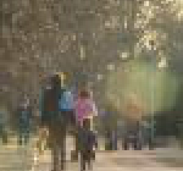 STUDIU: Cât "costă" un trai decent pentru o familie din România