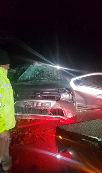 ACCIDENT: Rănit grav după ce s-a izbit cu mașina de un copac