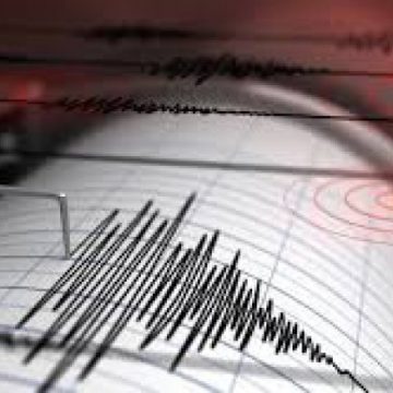 VRANCEA: Cutremur cu magnitudinea 3,2 pe scara Richter
