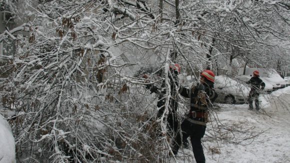 Iar ne-a luat iarna copacii pe nepregătite și cad peste firele de curent