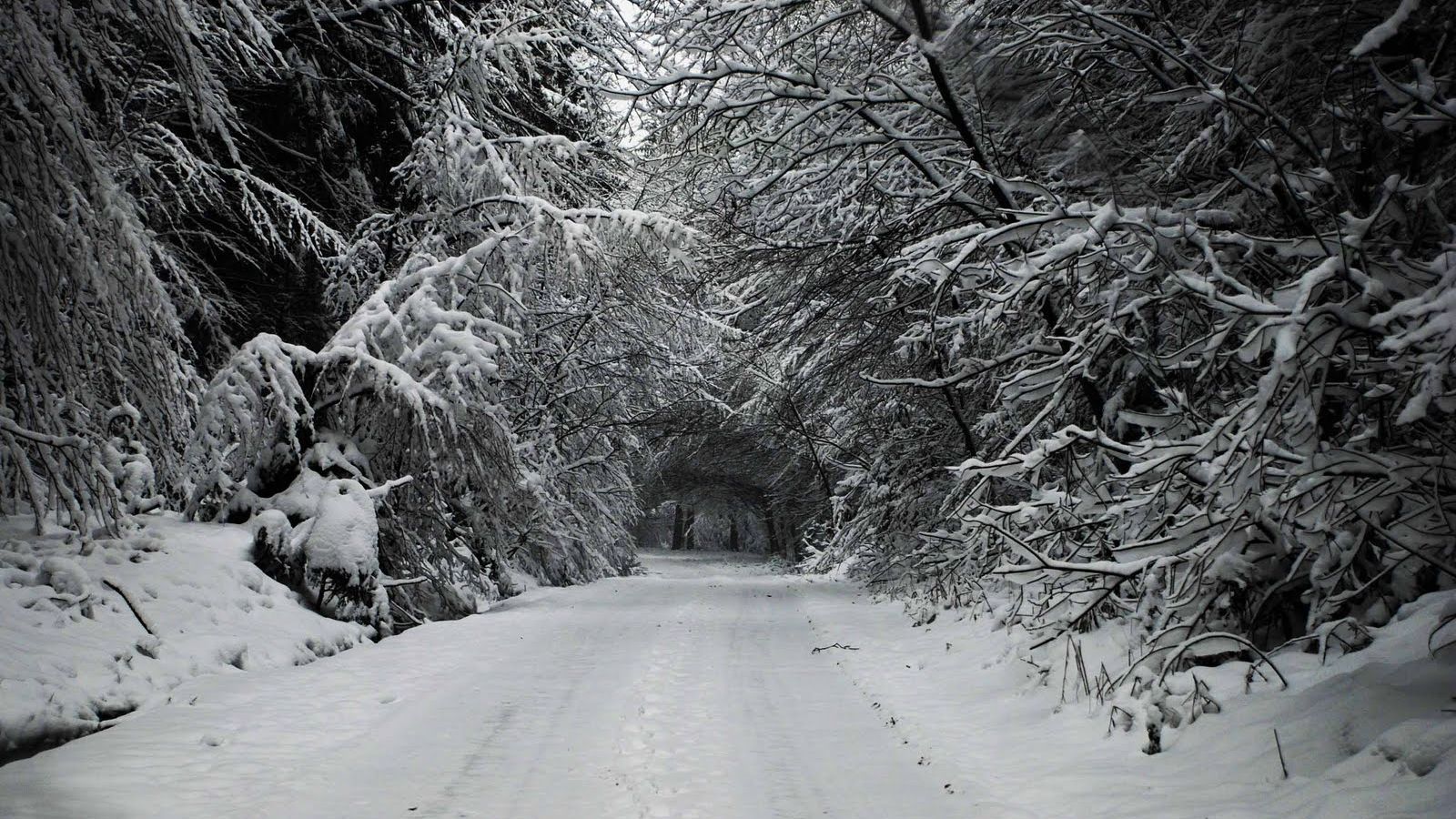 Imagini pentru imagini omul pe drum de iarna