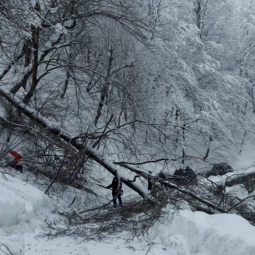Circulație rutiera in conditii de iarna