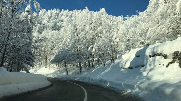 VIDEO | Cea mai rece noapte de la începutul anului în Maramureș -22 grade
