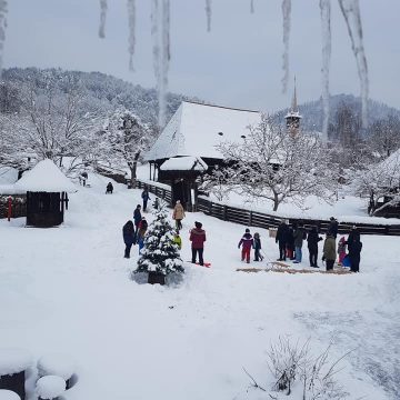 VIDEO | Iarna pe ulițele Muzeului Satului, la săniuș VIDEO | Iarna pe ulițele Muzeului Satului, la săniuș