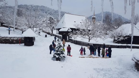 VIDEO | Iarna pe ulițele Muzeului Satului, la săniuș