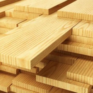 S-au confiscat peste 800 de metri cubi de lemn