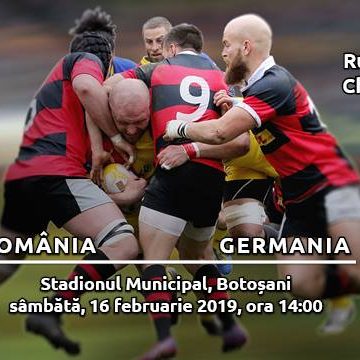 Zimbrii noștri se bat cu Germania Zimbrii noștri se bat cu Germania