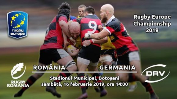 Zimbrii noștri se bat cu Germania Zimbrii noștri se bat cu Germania