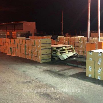 Peste 400.000 de pachete cu ţigări ascunse, într-un automarfar cu brichete din lemn, în PTF Halmeu Peste 400.000 de pachete cu ţigări ascunse, într-un automarfar cu brichete din lemn, în PTF Halmeu