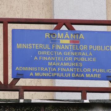 VIDEO | Harnici ca furnicile când e vorba să strângă bani