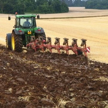 Campania de depunere a cererilor unice de plată în sectorul agricol demarează la 1 martie 2019