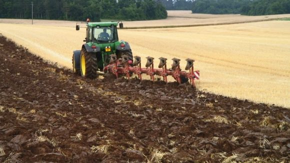 Campania de depunere a cererilor unice de plată în sectorul agricol demarează la 1 martie 2019
