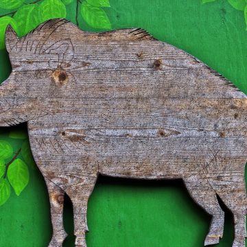 A început Anul Nou chinezesc al Mistrețului de pământ