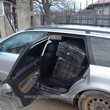 Captură majoră de țigări de contrabandă la graniță