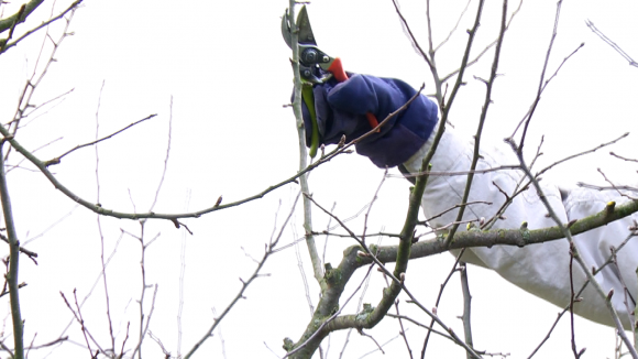 VIDEO | Ce e de făcut cu gunoaiele după curățenia de primăvară VIDEO | Ce e de făcut cu gunoaiele după curățenia de primăvară