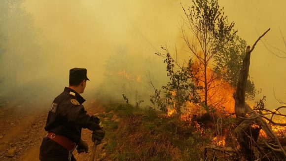 Video|Sfaturi de la pompieri