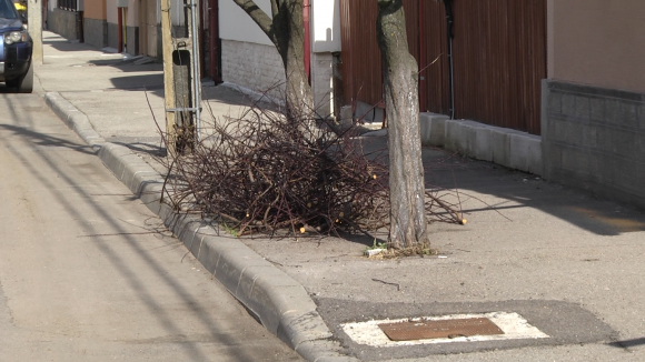 Campania de colectare a deșeurilor vegetale s-a încheiat. Cei care le vor mai scoate în stradă riscă sancțiuni