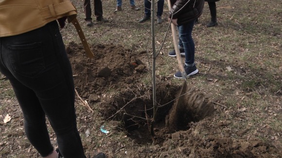VIDEO | S-au plantat copaci în Parcul Grădina Morii