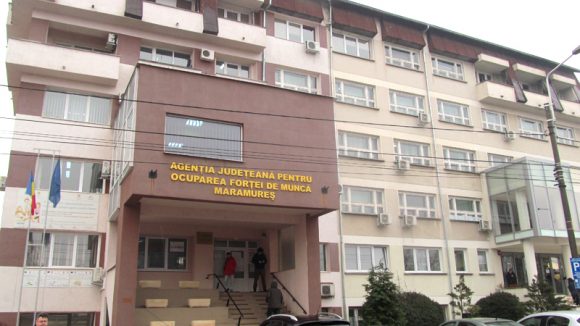 VIDEO | Facilități pentru absolvenții aflați în căutarea unui loc de muncă VIDEO | Facilități pentru absolvenții aflați în căutarea unui loc de muncă