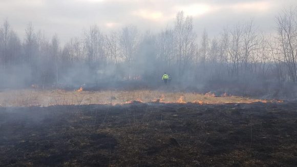 50 de hectare de vegetație uscată arse în incendiile din ultimele zile 50 de hectare de vegetație uscată arse în incendiile din ultimele zile