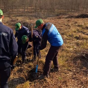 VIDEO | Jandarmi la plantat de arbori VIDEO | Jandarmi la plantat de arbori