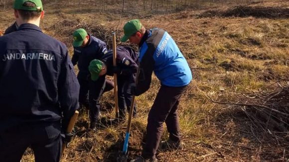 VIDEO | Jandarmi la plantat de arbori
