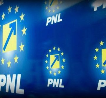 PNL: Disprețul – unitatea de măsură a guvernării lui Dragnea. PSD are pata pusă pe românii din Diaspora PNL: Disprețul – unitatea de măsură a guvernării lui Dragnea. PSD are pata pusă pe românii din Diaspora