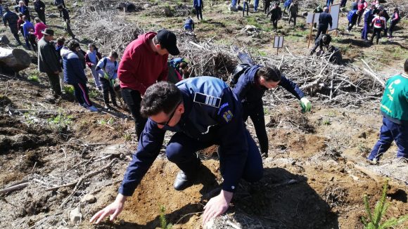 VIDEO | Polițiști la plantat de puieți VIDEO | Polițiști la plantat de puieți