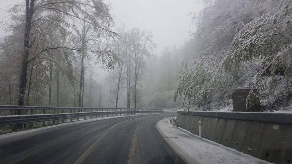 Ninsoare în luna mai în Maramureș