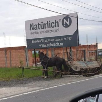 Căruță răsturnată în șanț pe DN 1C, la Dura Căruță răsturnată în șanț pe DN 1C, la Dura