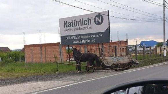 Căruță răsturnată în șanț pe DN 1C, la Dura Căruță răsturnată în șanț pe DN 1C, la Dura