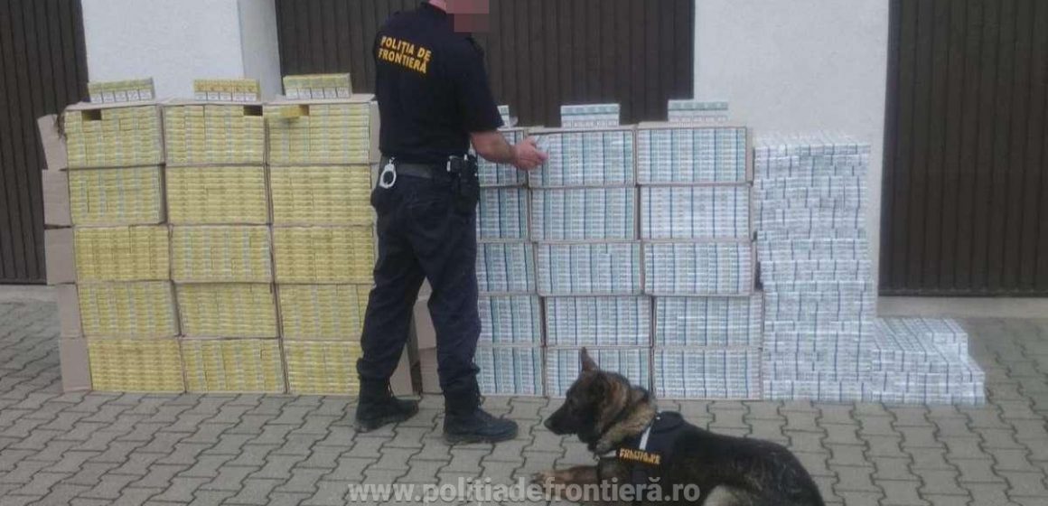 Percheziții domiciliare în Maramureș, două persoane au fost reținute Percheziții domiciliare în Maramureș, două persoane au fost reținute