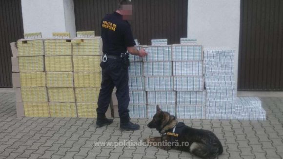 Percheziții domiciliare în Maramureș, două persoane au fost reținute Percheziții domiciliare în Maramureș, două persoane au fost reținute