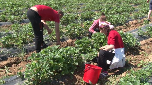 VIDEO | S-a modificat legea zilierilor