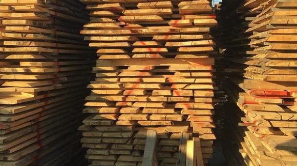 La Seini, poliţiştii au confiscat 170 mc material lemnos