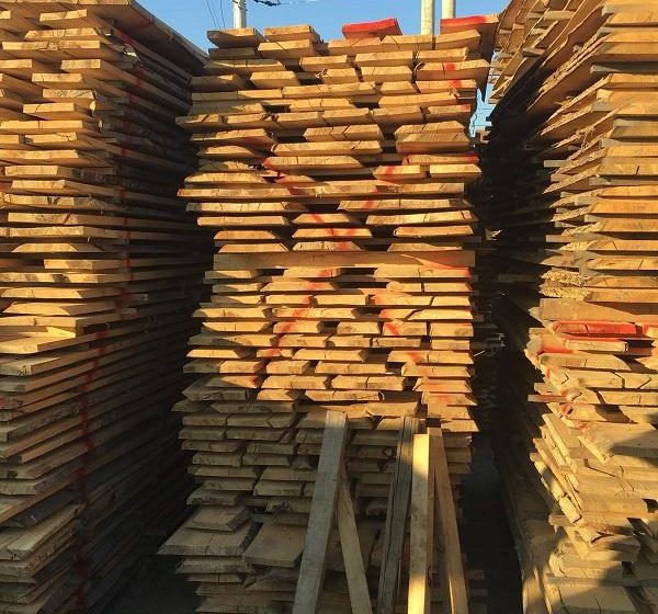 La Seini, poliţiştii au confiscat 170 mc material lemnos