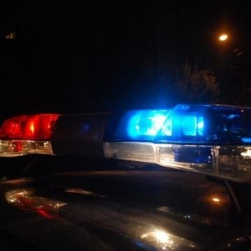 Hoți prinși, prejudiciu recuperat Hoți prinși, prejudiciu recuperat
