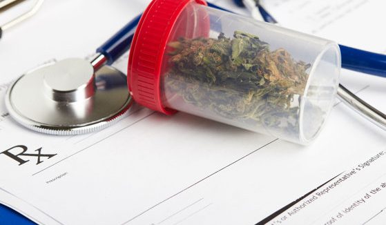 Sorina Pintea, despre proiectul privind introducerea canabisului medicinal: Nu pot fi în totalitate de acord