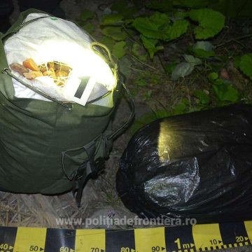 Prinsă la graniță cu 100 de kilograme de chihlimbar Prinsă la graniță cu 100 de kilograme de chihlimbar