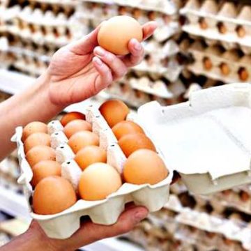 Măsuri ANSVSA pentru prevenirea toxiinfecțiilor alimentare în zonele de agrement și localitățile de interes turistic în sezonul estival