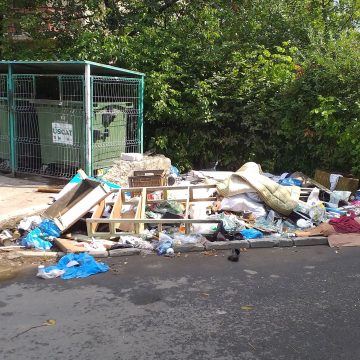 ”Delicatețuri” urbane ”Delicatețuri” urbane