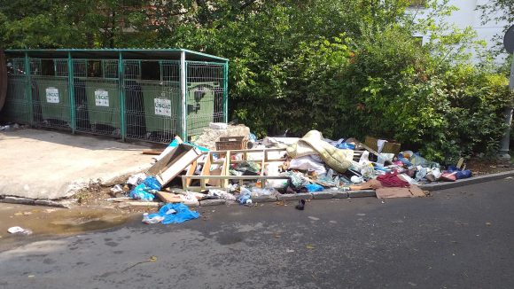 ”Delicatețuri” urbane