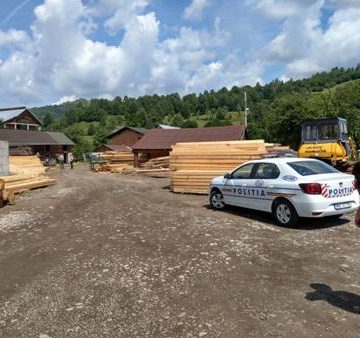 GALERIE FOTO | S-au confiscat lemne în valoare de 586.000 de lei și s-au constatat 22 de infracțiuni